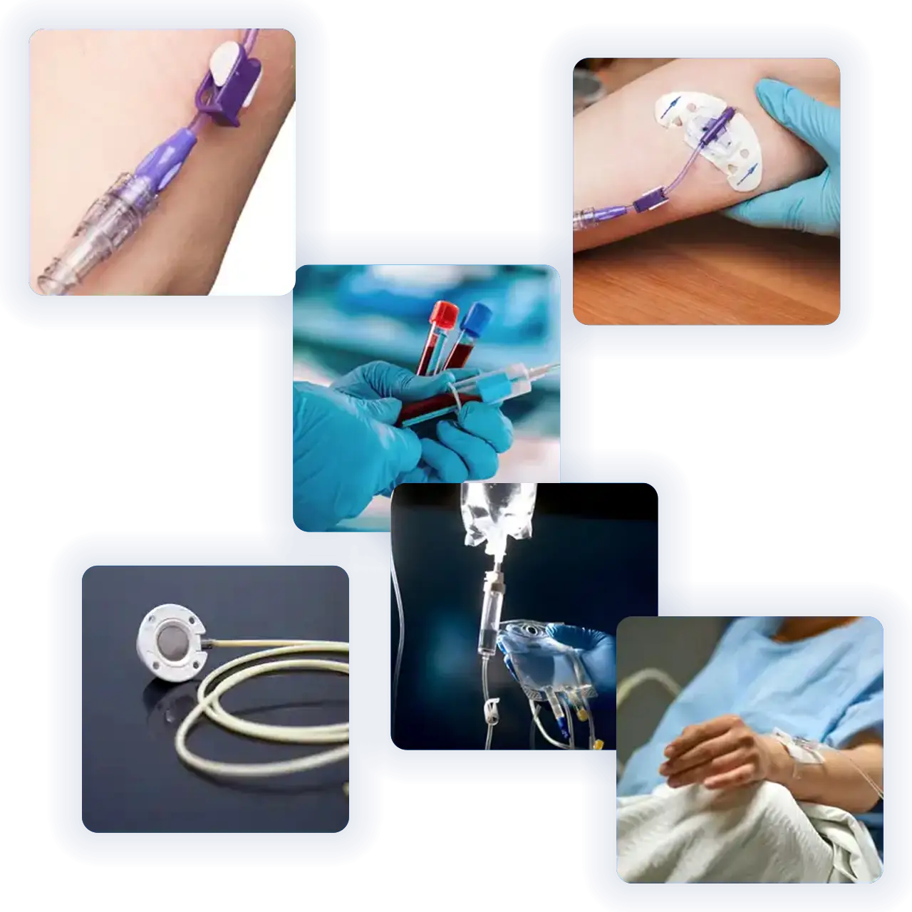 our courses